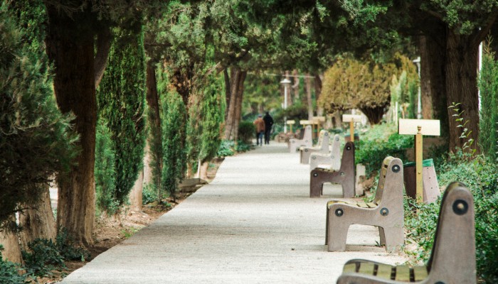 Benches in Schenley Park